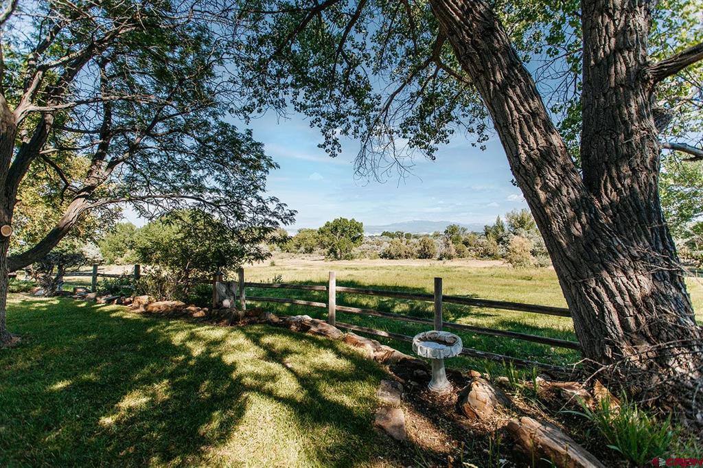 60428 Oasis Road Montrose CO 81403