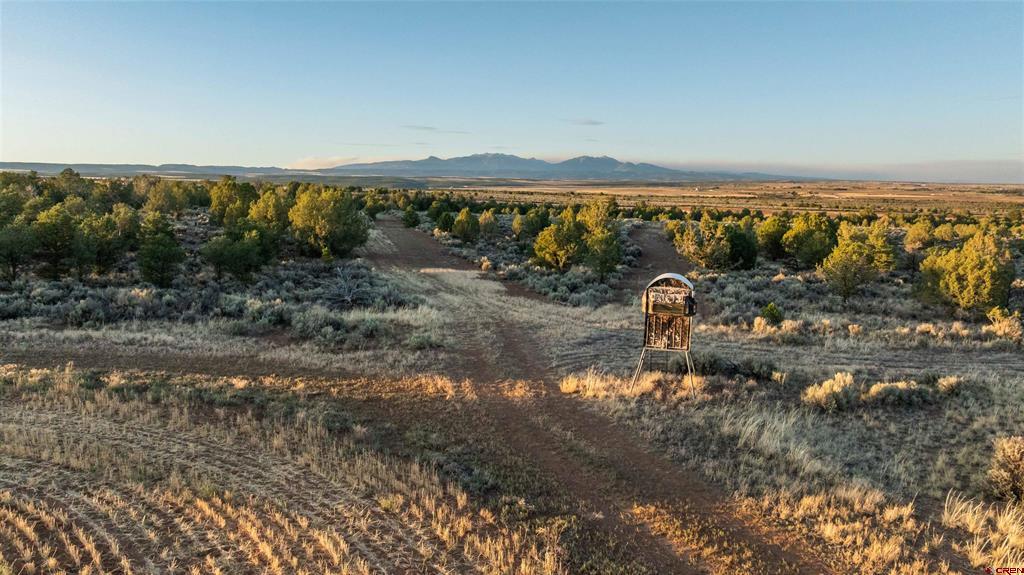 Tbdwp1 County Road 106 Hesperus CO 81326