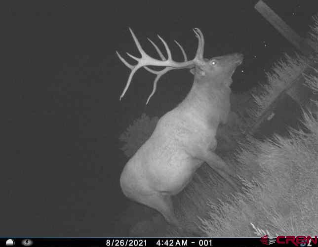 Tbdwp1 County Road 106 Hesperus CO 81326