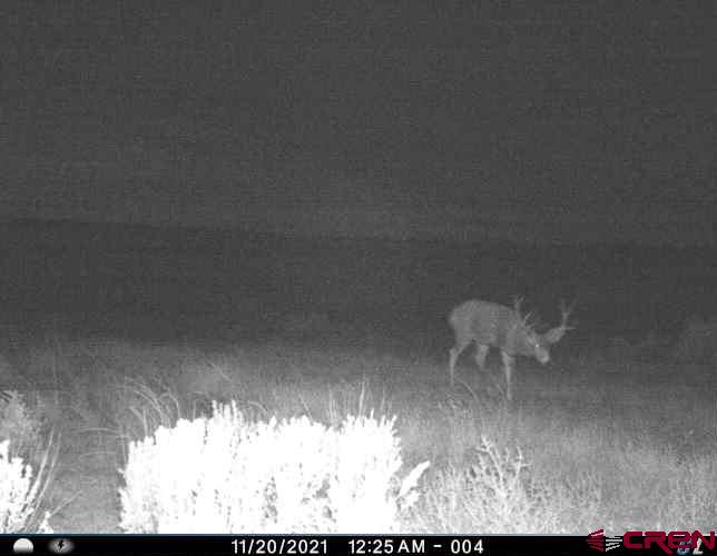 Tbdwp1 County Road 106 Hesperus CO 81326