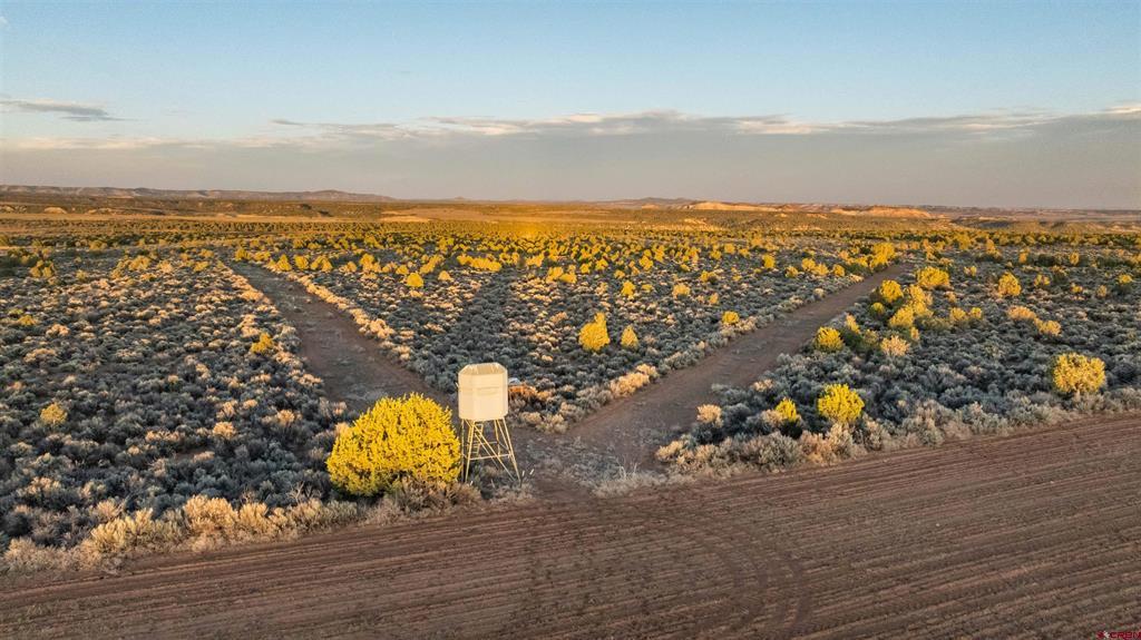 Tbdwp1 County Road 106 Hesperus CO 81326