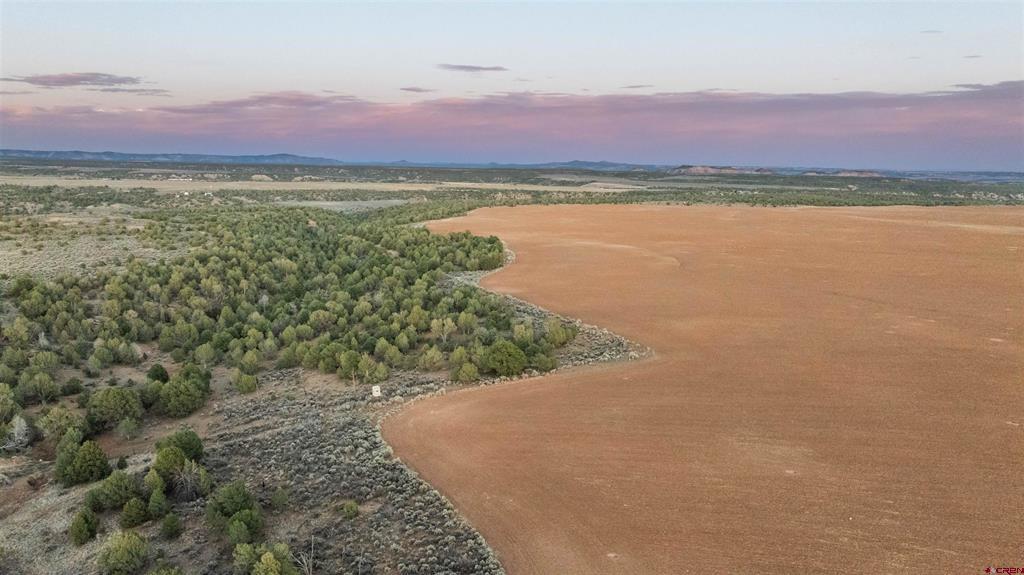 Tbdwp1 County Road 106 Hesperus CO 81326