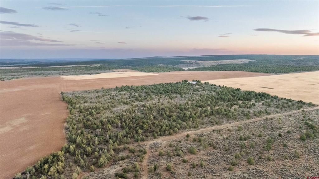 Tbdwp1 County Road 106 Hesperus CO 81326