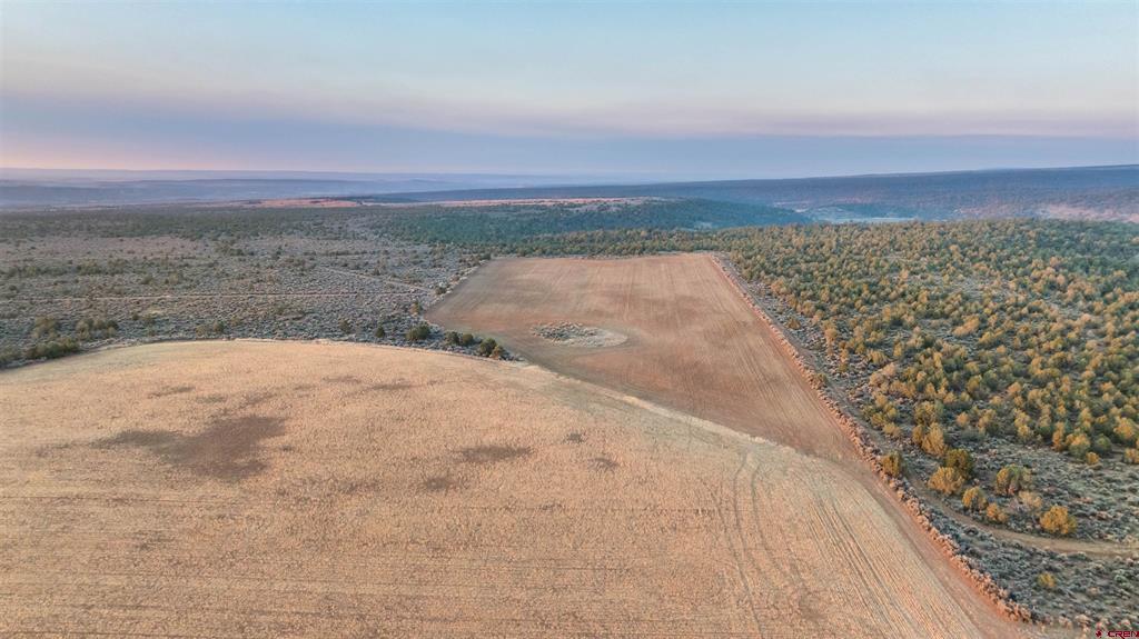 Tbdwp1 County Road 106 Hesperus CO 81326