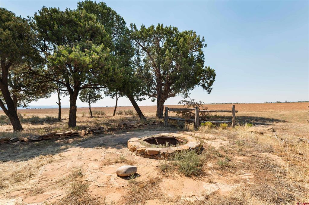 Tbdwp1 County Road 106 Hesperus CO 81326