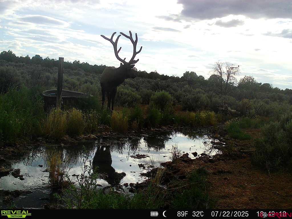 Tbdwp1 County Road 106 Hesperus CO 81326