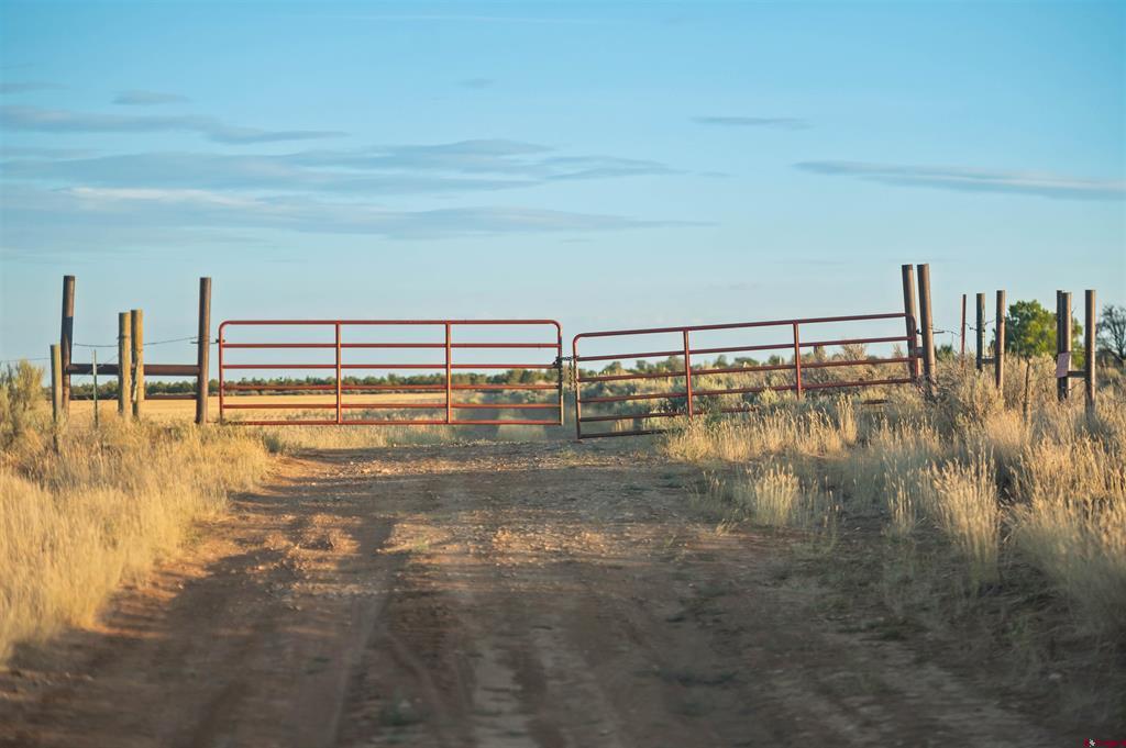 Tbdwp1 County Road 106 Hesperus CO 81326