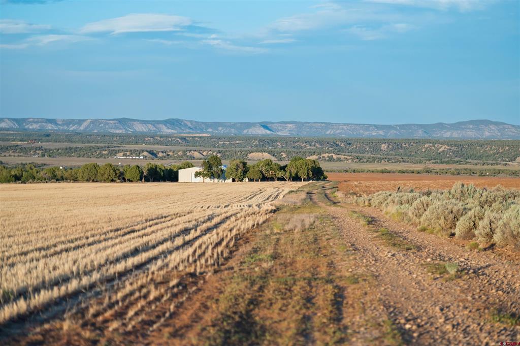 Tbdwp1 County Road 106 Hesperus CO 81326