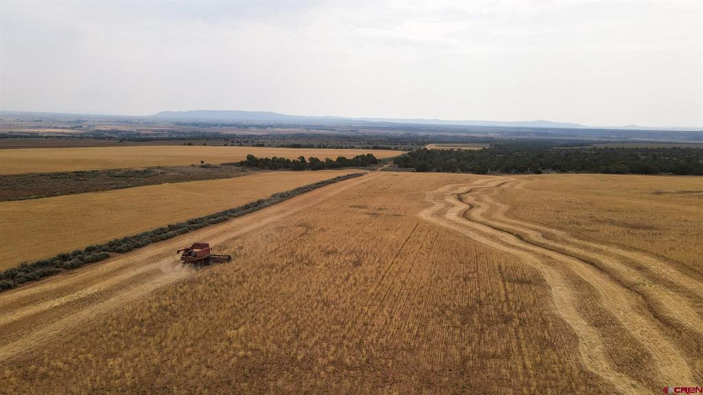 Tbdwp1 County Road 106 Hesperus CO 81326