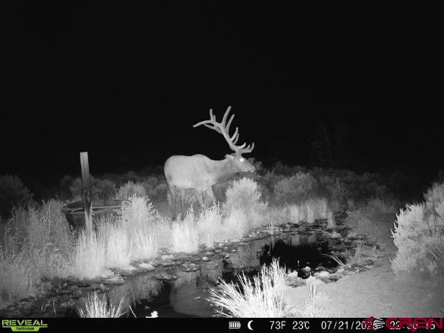 Tbdwp1 County Road 106 Hesperus CO 81326