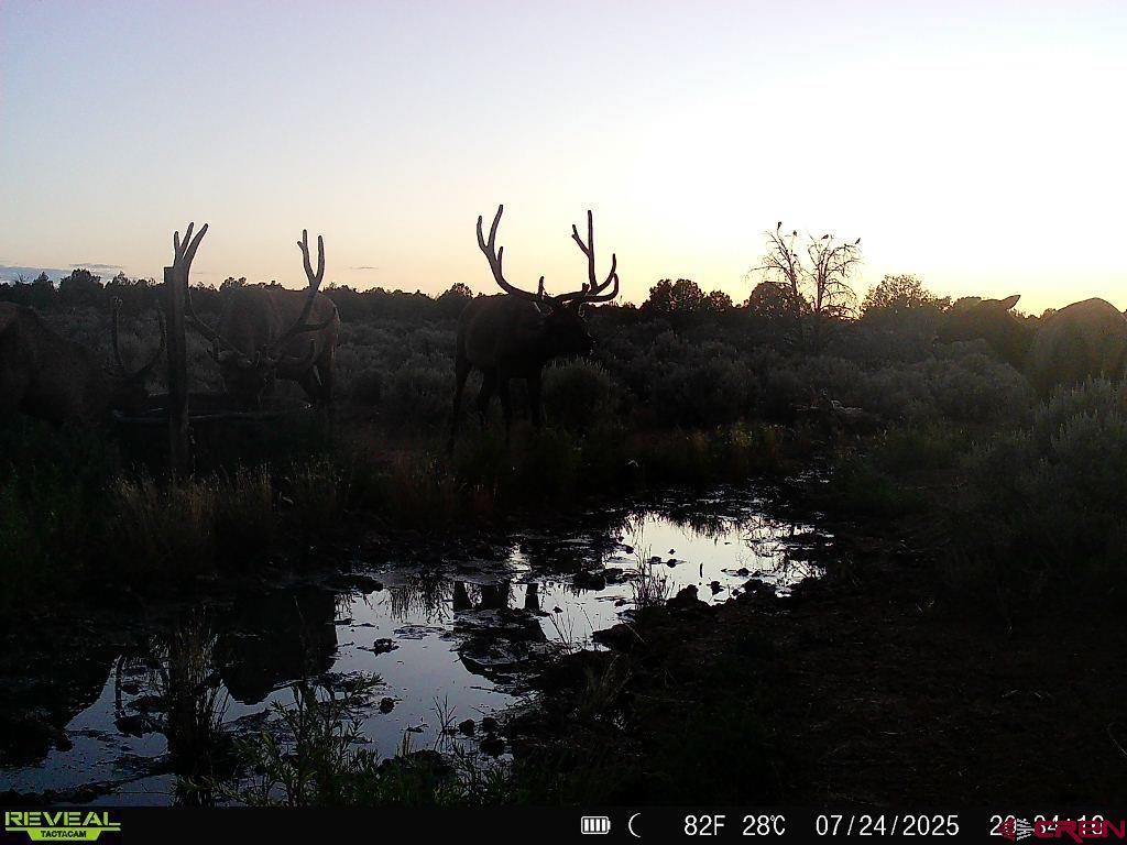 Tbdwp1 County Road 106 Hesperus CO 81326