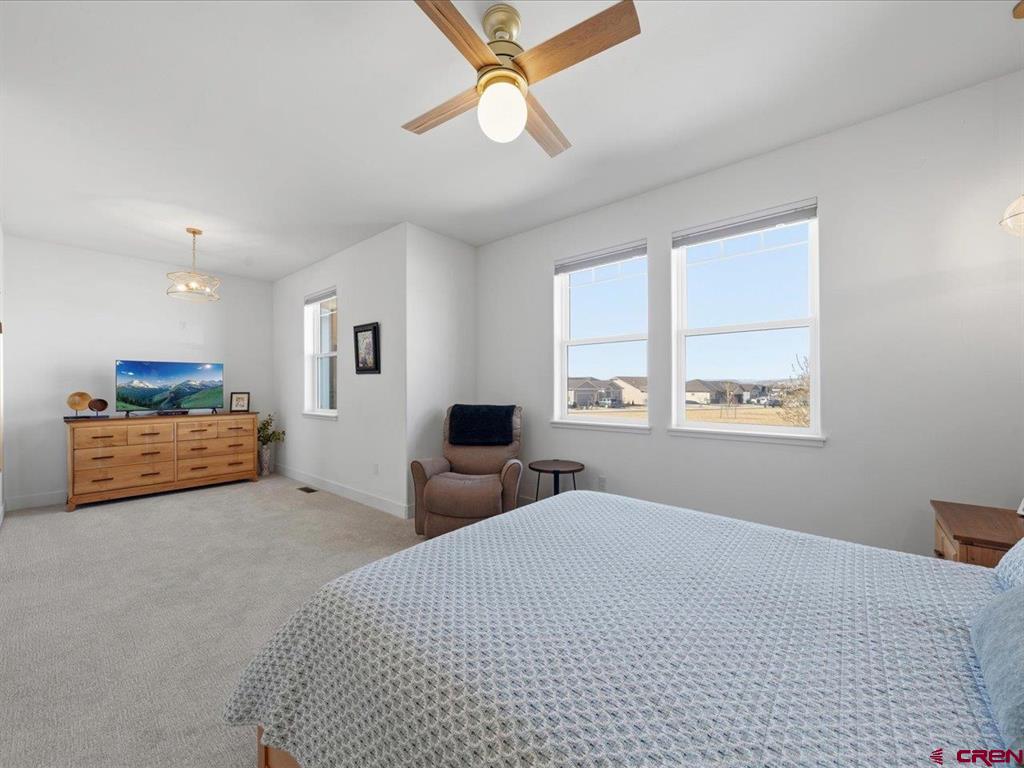 3856 Scarlet Court Montrose CO 81401