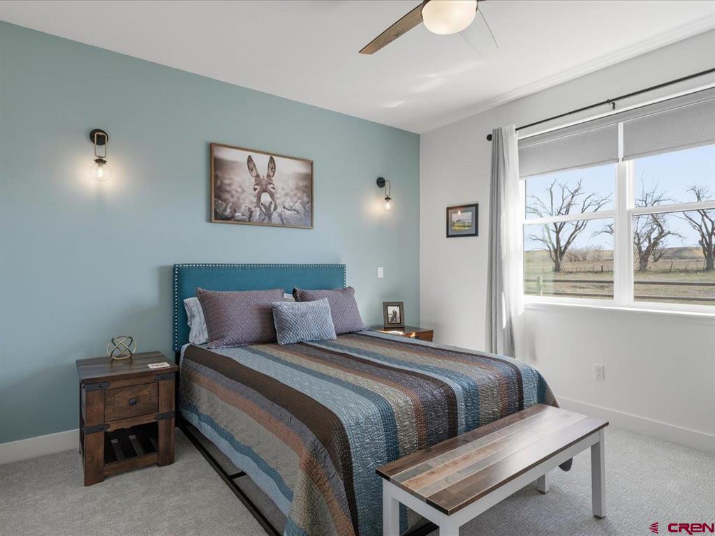 3856 Scarlet Court Montrose CO 81401