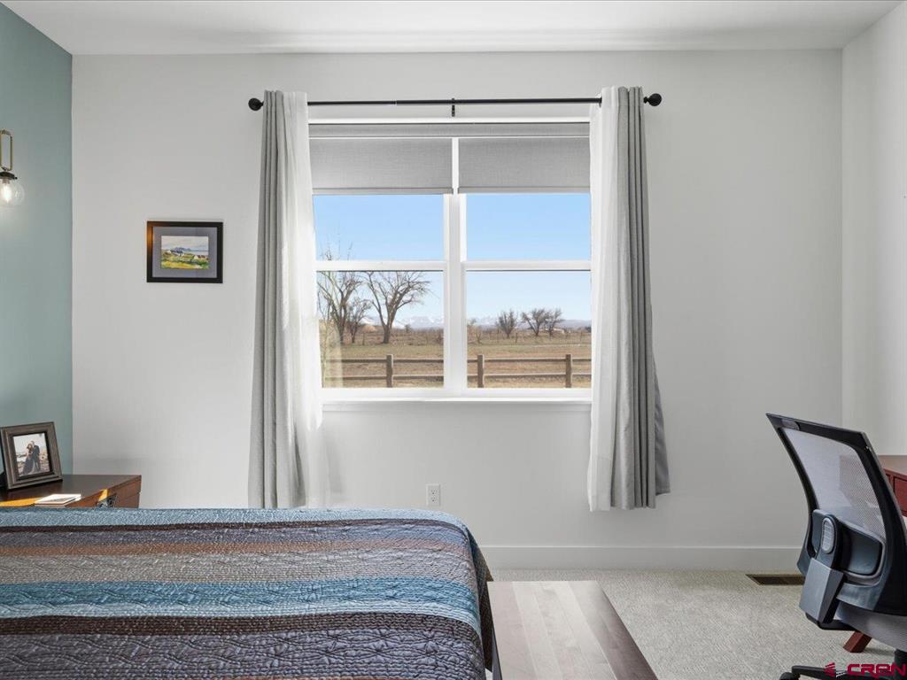 3856 Scarlet Court Montrose CO 81401