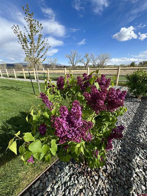 3856 Scarlet Court Montrose CO 81401
