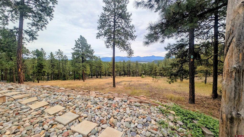 603 Great West Avenue Pagosa Springs CO 81147