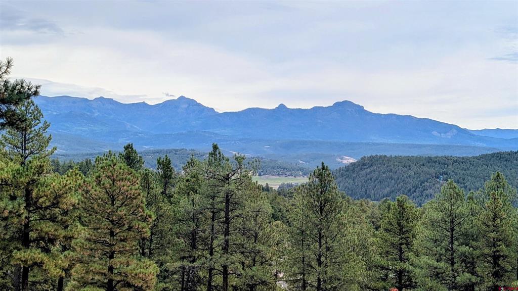 603 Great West Avenue Pagosa Springs CO 81147