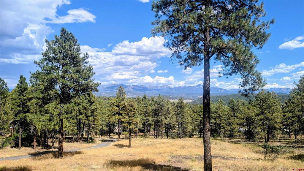 603 Great West Avenue Pagosa Springs CO 81147