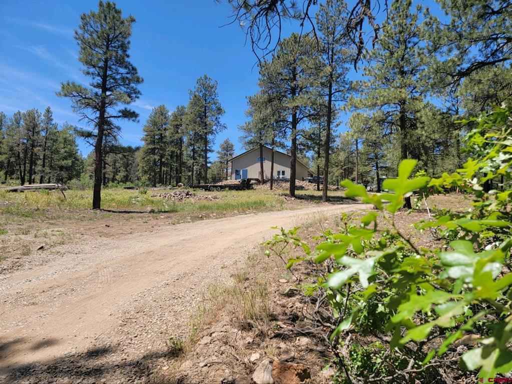 603 Great West Avenue Pagosa Springs CO 81147