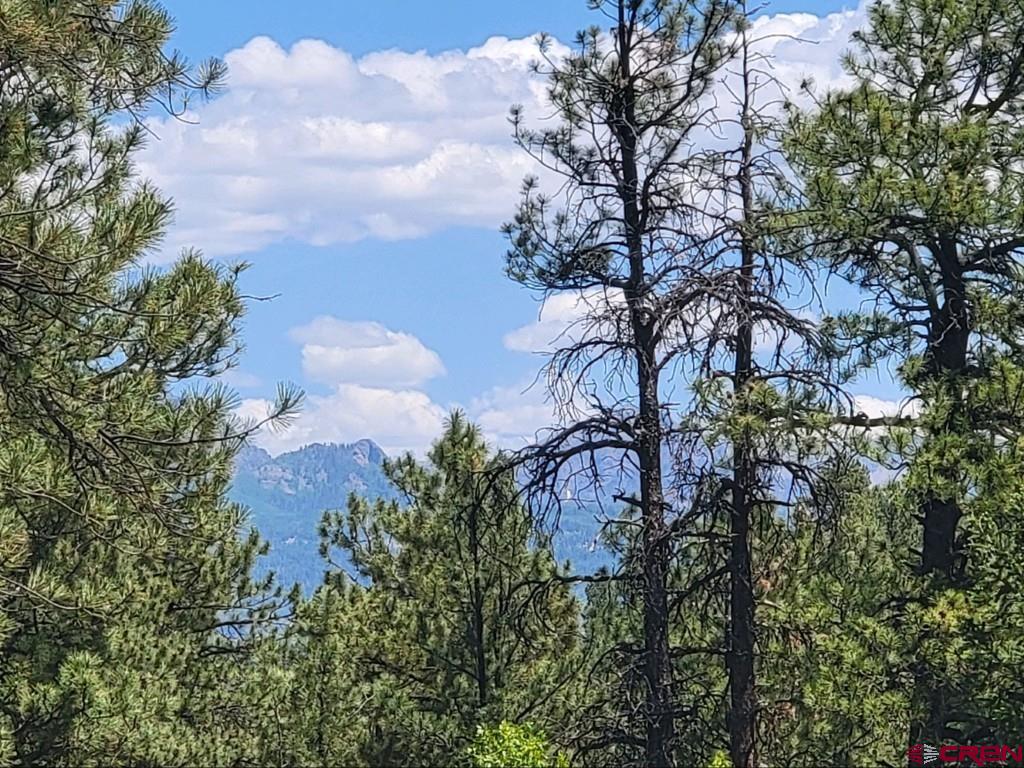 603 Great West Avenue Pagosa Springs CO 81147