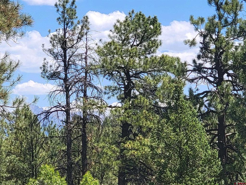 603 Great West Avenue Pagosa Springs CO 81147