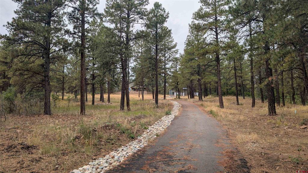 603 Great West Avenue Pagosa Springs CO 81147