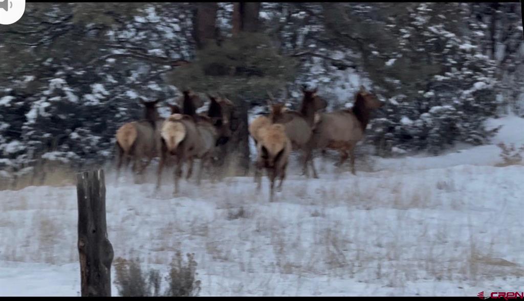 3070 County Road 391 Pagosa Springs CO 81147