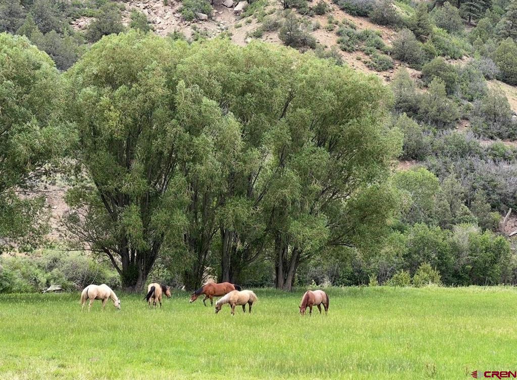 3070 County Road 391 Pagosa Springs CO 81147