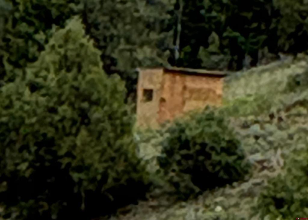 3070 County Road 391 Pagosa Springs CO 81147