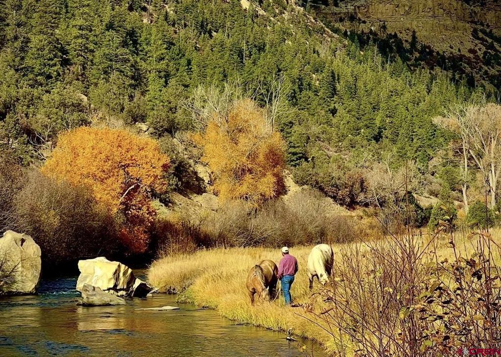 3070 County Road 391 Pagosa Springs CO 81147