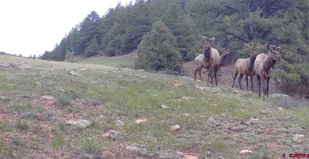 3070 County Road 391 Pagosa Springs CO 81147