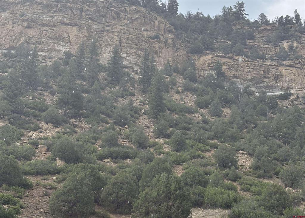 3070 County Road 391 Pagosa Springs CO 81147