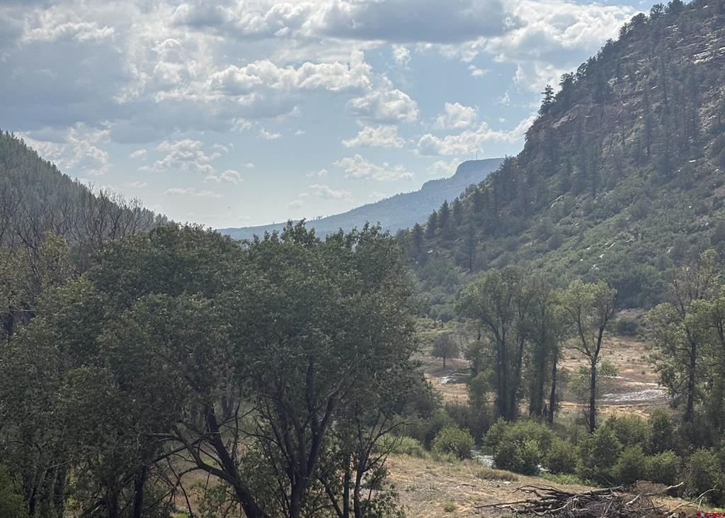 3070 County Road 391 Pagosa Springs CO 81147