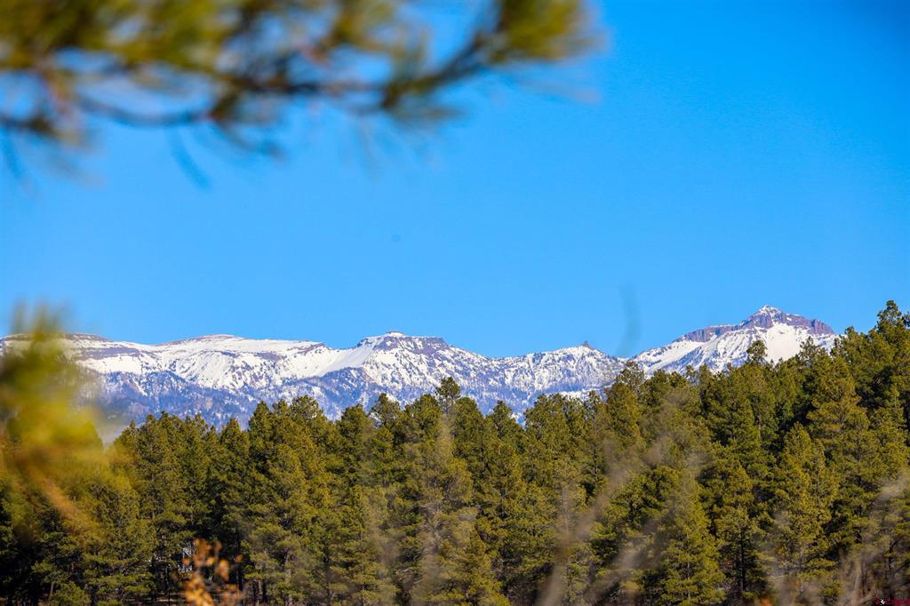 41 Pueblo Court Pagosa Springs CO 81147