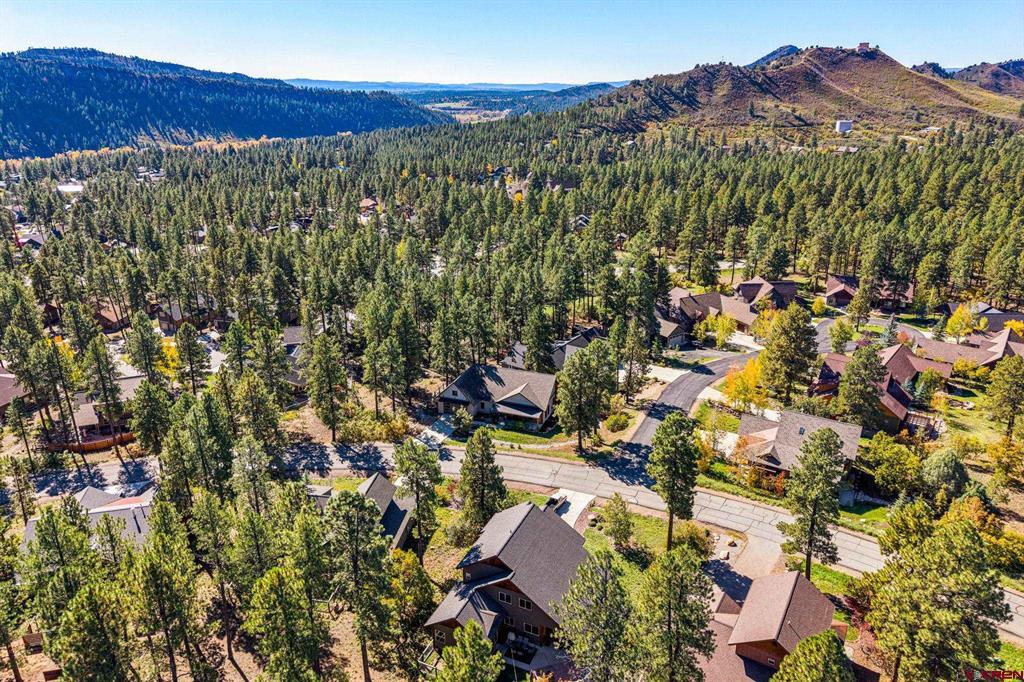 231 Kenosha Trail Durango CO 81301