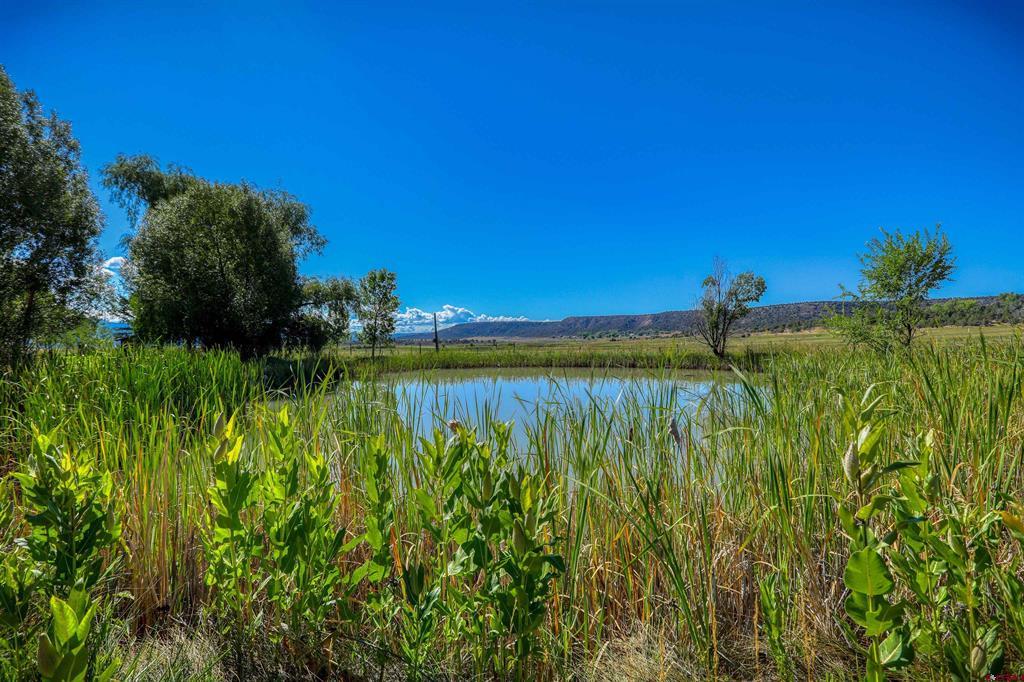 1204 County Road 332 Ignacio CO 81301
