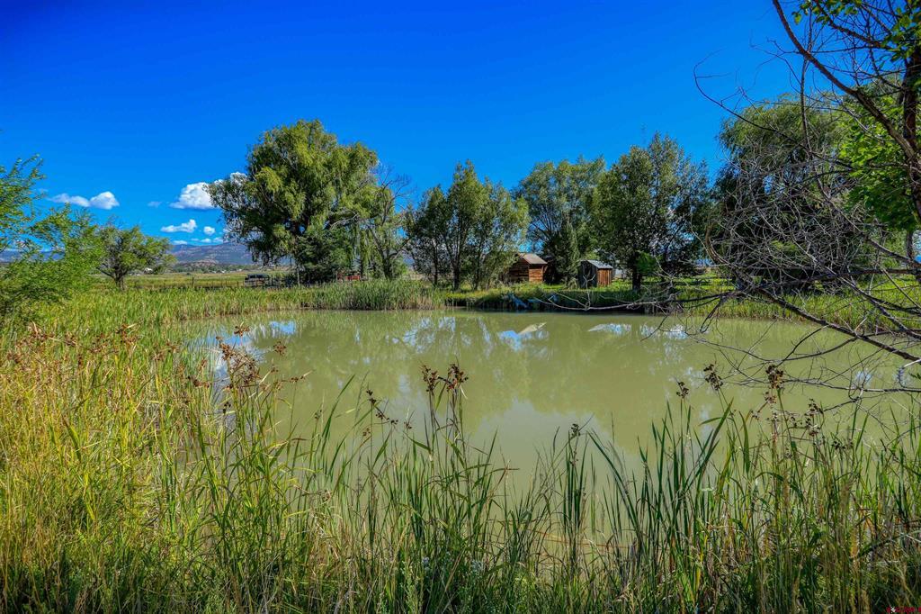 1204 County Road 332 Ignacio CO 81301