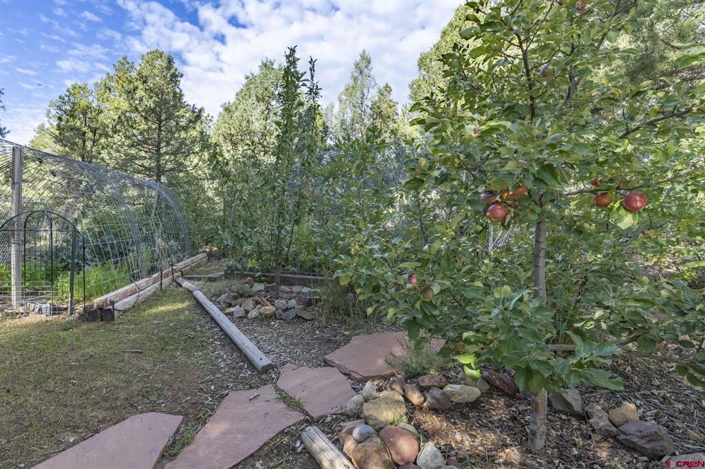 564 Spring Road Durango CO 81303