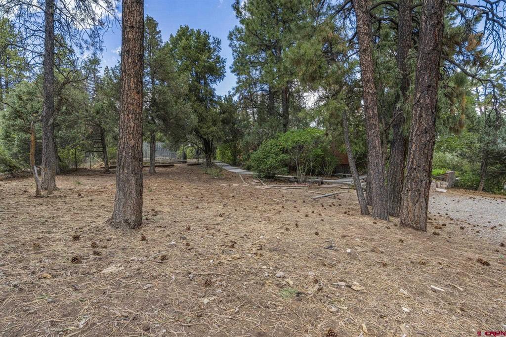 564 Spring Road Durango CO 81303