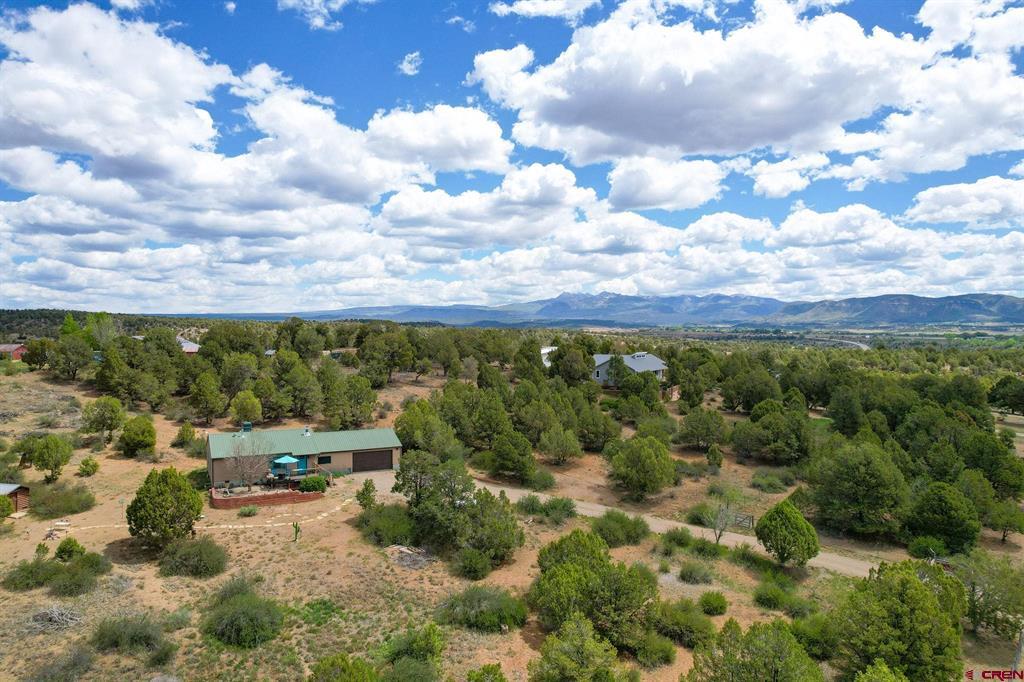 36783 Road G.6 Mancos CO 81328
