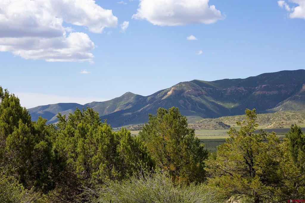 36783 Road G.6 Mancos CO 81328