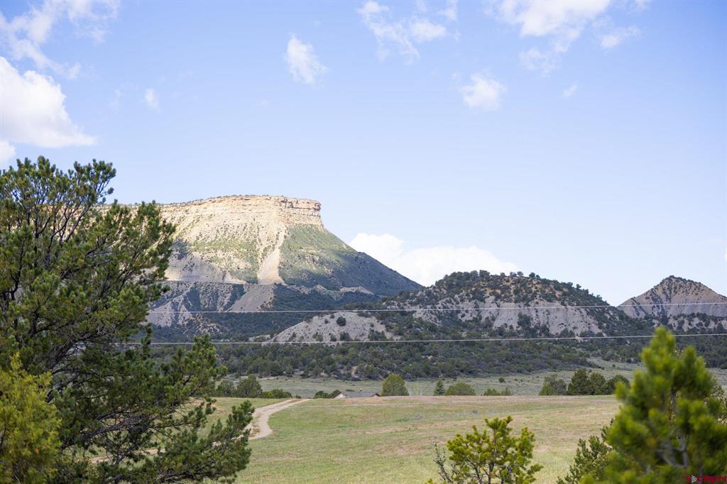 36783 Road G.6 Mancos CO 81328