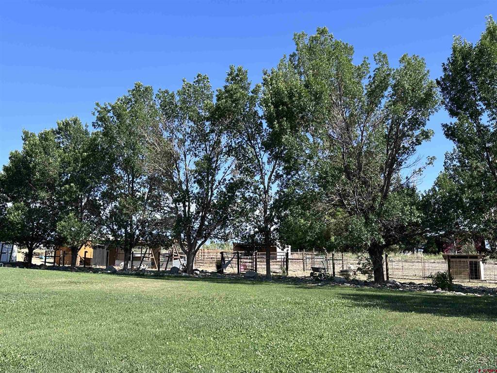 9456 6075 Road Montrose CO 81403