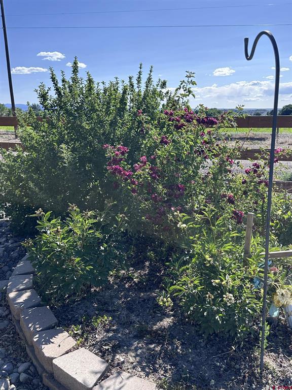 9456 6075 Road Montrose CO 81403