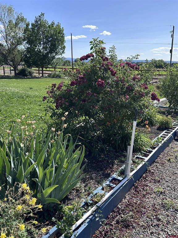 9456 6075 Road Montrose CO 81403