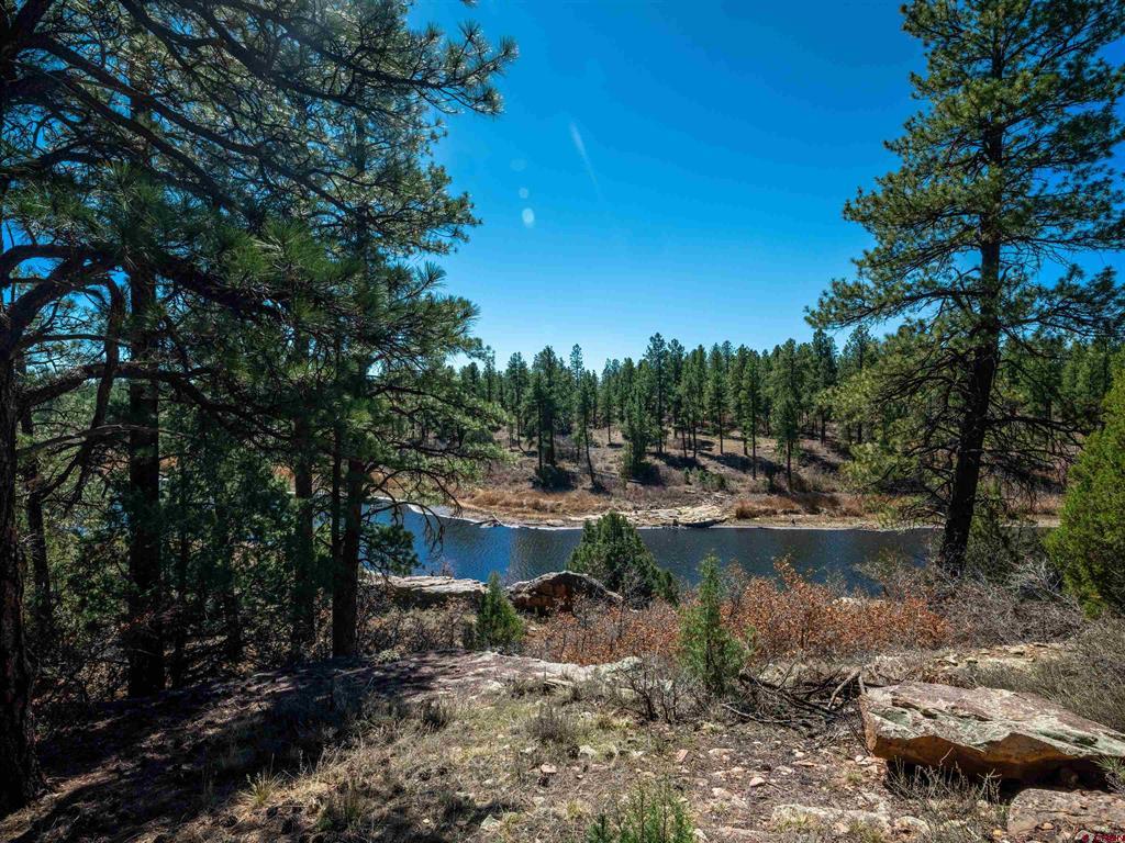 35324 Road R.5 Mancos CO 81328