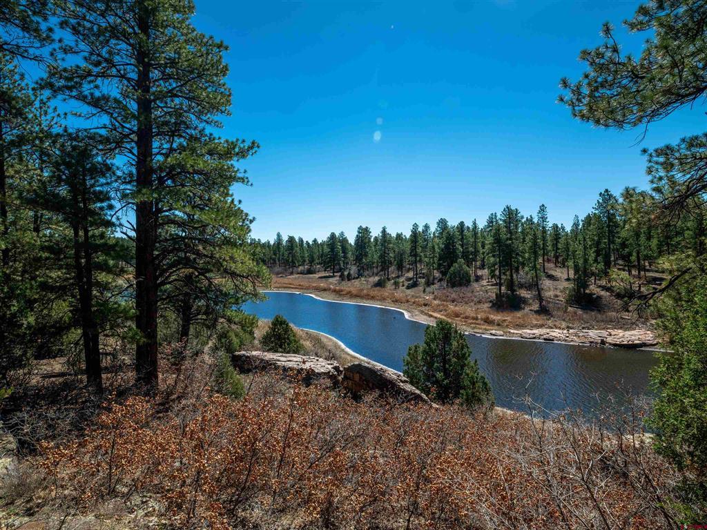 35324 Road R.5 Mancos CO 81328