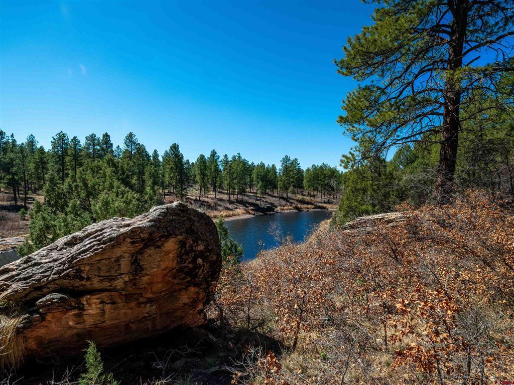 35324 Road R.5 Mancos CO 81328