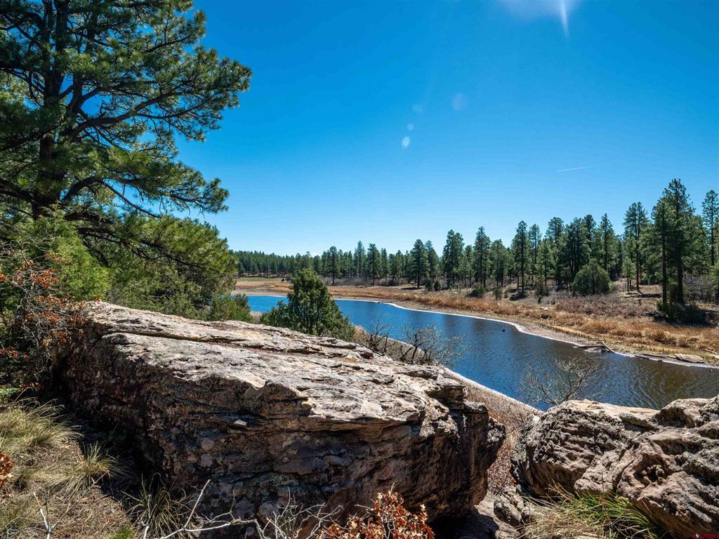 35324 Road R.5 Mancos CO 81328