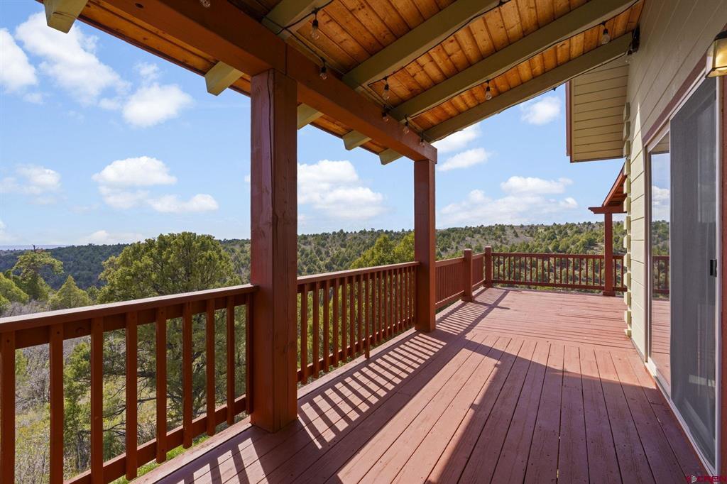 1405 Cougar Way Hesperus CO 81326